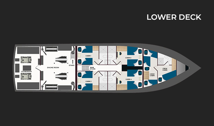 Sundeck And Upper Deck - Galaxy Orion